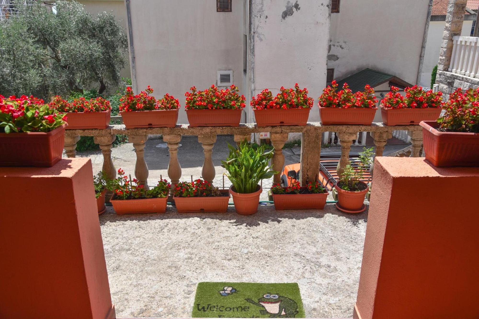 Vila Apartments Lidija Petrovac Екстериор снимка