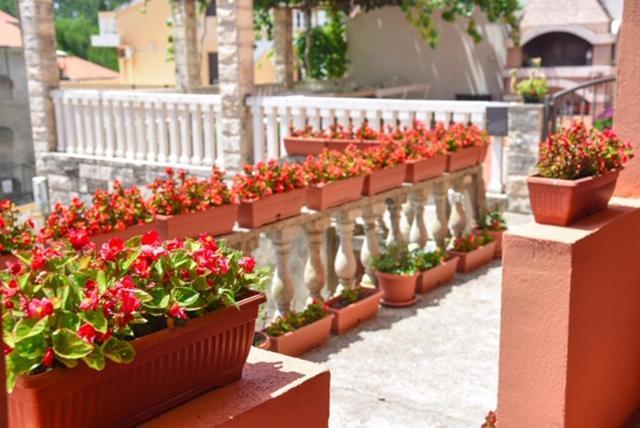 Vila Apartments Lidija Petrovac Екстериор снимка